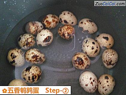 五香鹌鹑蛋做法第二步骤