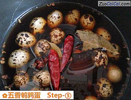 五香鹌鹑蛋做法第五步骤