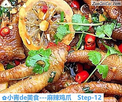 -麻辣鸡爪做法第十二步骤