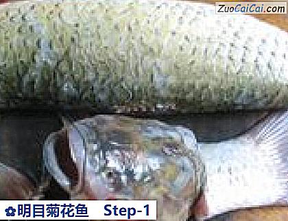 明目菊花鱼做法第一步骤