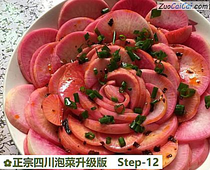 正宗四川泡菜升级版做法第十二步骤