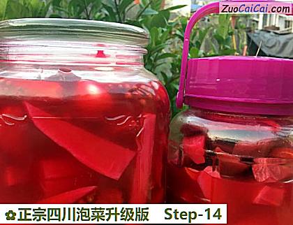 正宗四川泡菜升级版做法第十四步骤
