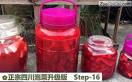 正宗四川泡菜升级版做法第十六步骤