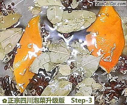 正宗四川泡菜升级版做法第三步骤