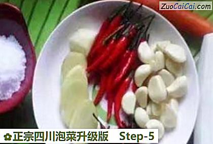 正宗四川泡菜升级版做法第五步骤