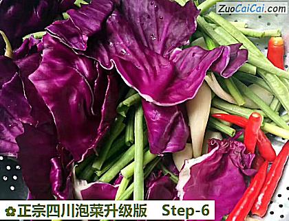 正宗四川泡菜升级版做法第六步骤