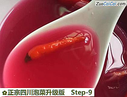 正宗四川泡菜升级版做法第九步骤