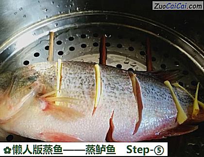 蒸鲈鱼做法第五步骤
