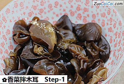 香菜拌木耳做法第一步骤