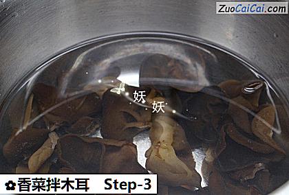 香菜拌木耳做法第三步骤