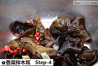 香菜拌木耳做法第四步骤