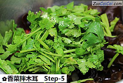 香菜拌木耳做法第五步骤