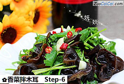 香菜拌木耳做法第六步骤
