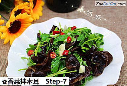 香菜拌木耳做法第七步骤