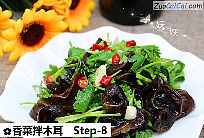 香菜拌木耳做法第八步骤