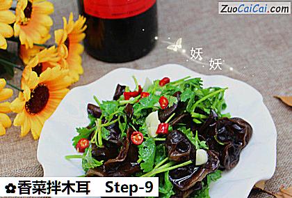 香菜拌木耳做法第九步骤