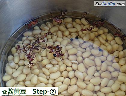 酱黄豆做法第二步骤