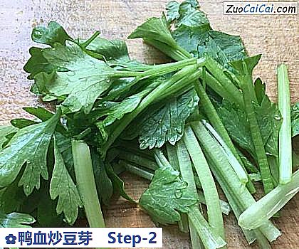 鸭血炒豆芽做法第二步骤