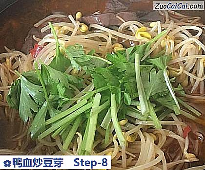 鸭血炒豆芽做法第八步骤