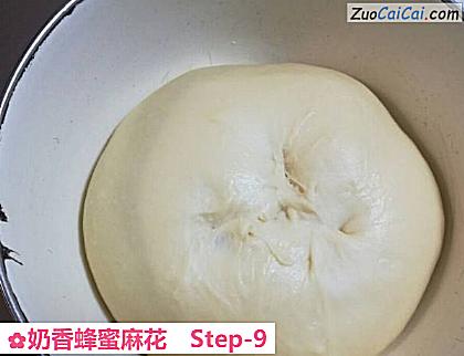 奶香蜂蜜麻花做法第九步骤