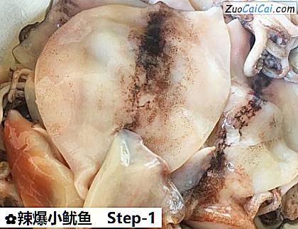 辣爆小鱿鱼做法第一步骤