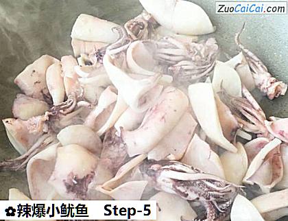 辣爆小鱿鱼做法第五步骤