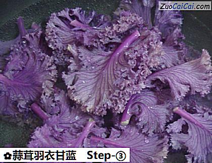 蒜茸羽衣甘蓝做法第三步骤
