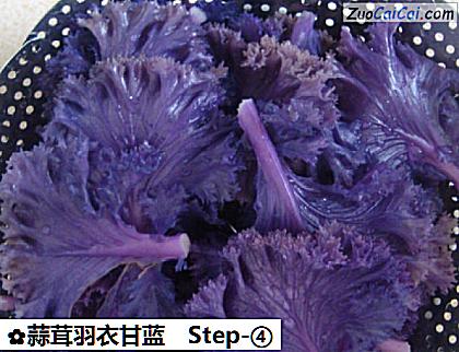 蒜茸羽衣甘蓝做法第四步骤
