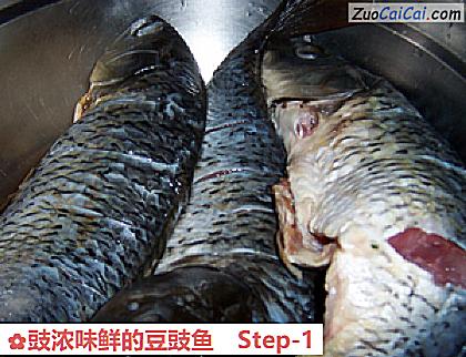 豉浓味鲜的豆豉鱼做法第一步骤
