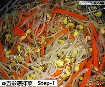 五彩凉拌菜做法第一步骤