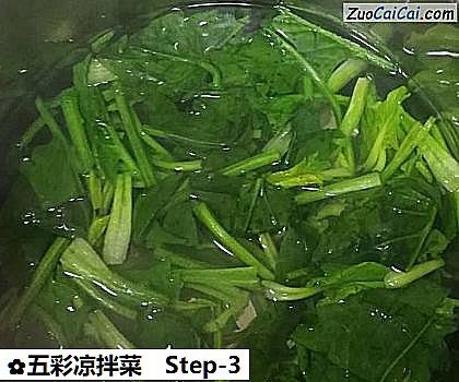 五彩凉拌菜做法第三步骤