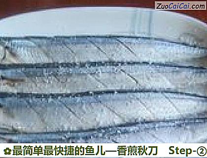 最简单最快捷的鱼儿—香煎秋刀做法第二步骤