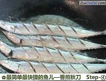 最简单最快捷的鱼儿—香煎秋刀做法第四步骤