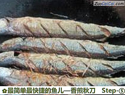 最简单最快捷的鱼儿—香煎秋刀做法第五步骤