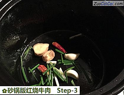 砂锅版红烧牛肉做法第三步骤
