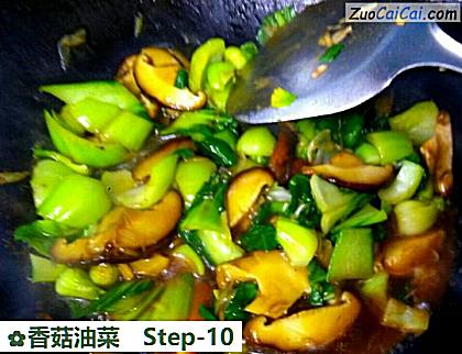 香菇油菜做法第十步骤