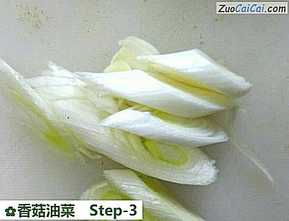 香菇油菜做法第三步骤