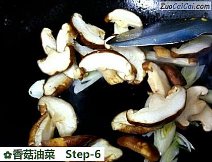 香菇油菜做法第六步骤