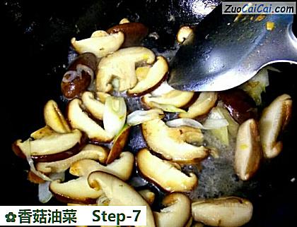 香菇油菜做法第七步骤