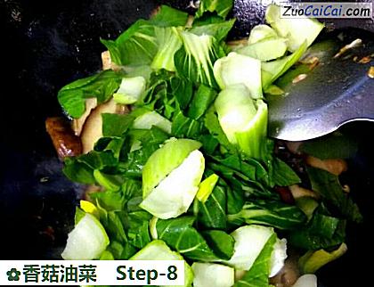 香菇油菜做法第八步骤