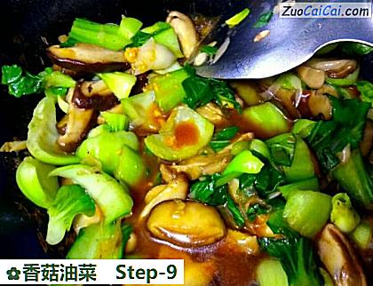 香菇油菜做法第九步骤