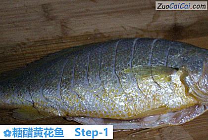 糖醋黄花鱼做法第一步骤