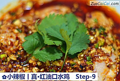 小辣椒丨真·红油口水鸡做法第九步骤