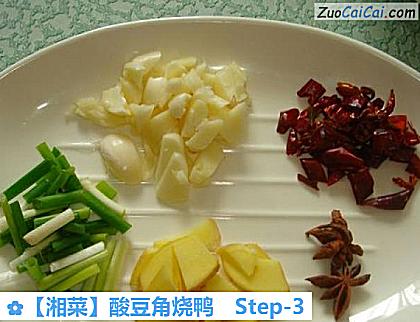 酸豆角烧鸭做法第三步骤