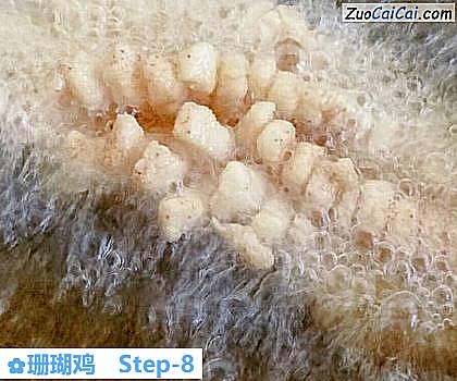 珊瑚鸡做法第八步骤