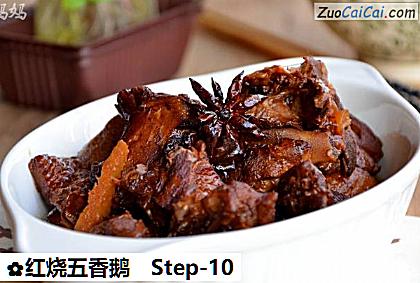 红烧五香鹅做法第十步骤
