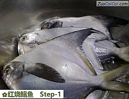 红烧鲳鱼做法第一步骤