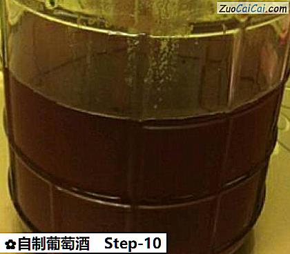 自制葡萄酒做法第十步骤