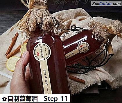 自制葡萄酒做法第十一步骤