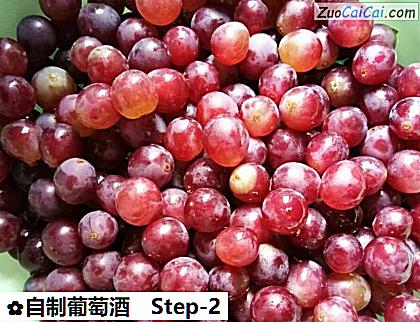 自制葡萄酒做法第二步骤
